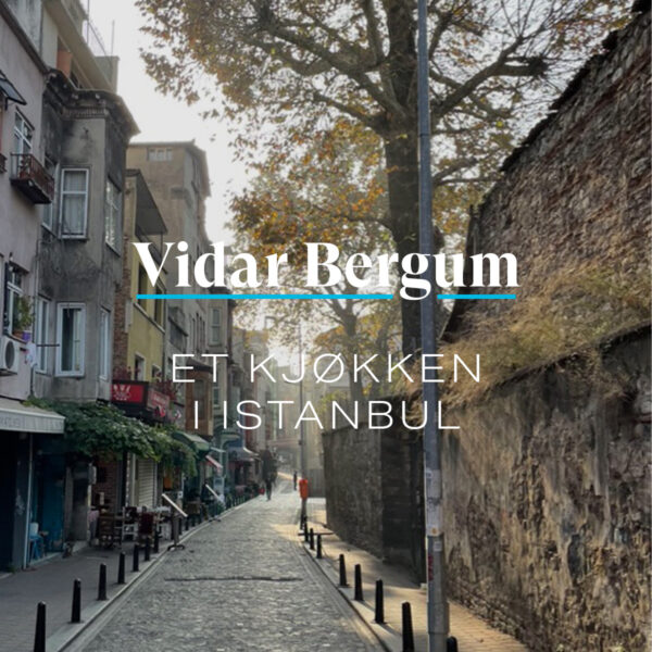 Ny logo for Vidar Bergum Et kjøkken i Istanbul over et bilde fra Istanbul som viser en gate rett etter soloppgang, med et stort løvtre i bakgrunnen