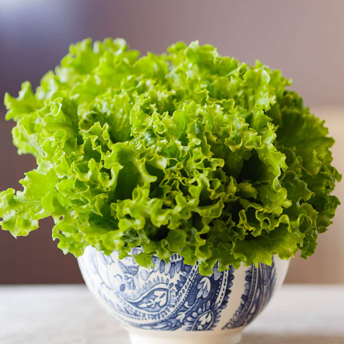 grønt salathode sett fra siden